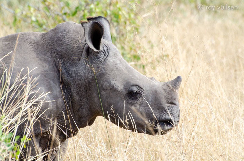 mozambique-photo-adventure